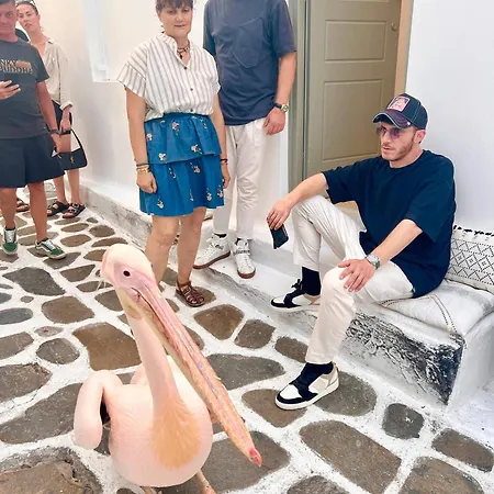 Διαμέρισμα Kallisti In *